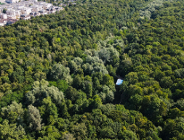 Infrastruktura wokół stawu Olszak