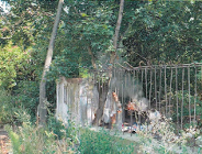 Interpelacje w sprawie bezpieczeństwa na stadionie Szyca