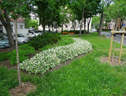 Introligatorski skwer