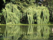 Jak chronić Park Sołacki?