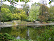 Jak nazwać pomniki przyrody?