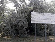 Jak walczyć z suszą