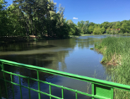 Jak zatrzymać wody opadowe?