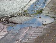 Jak złożyć wniosek ws. zbiornika na deszczówkę?