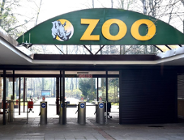 Jaka forma organizacyjna dla Zoo?
