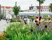 Jaka forma zarządzania miejskimi targowiskami?