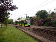 Jaki układ linii tramwajowych?