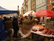 Kazimierze w życiu Poznania