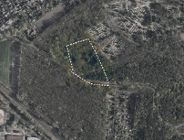 Kiedy powstanie cmentarz dla zwierząt domowych?