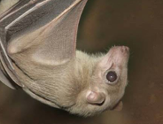 Klub Seniora w Nowym ZOO