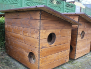 Kolejne domki dla wolno żyjących kotów