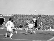 Kopnij się po książkę