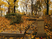 Kwesta na Cmentarzu Zasłużonych Wielkopolan