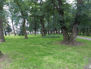 Lasek Dębiec będzie zrewitalizowany