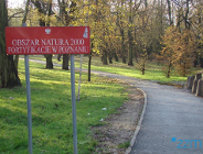 Lasek Dębiec odnowiony