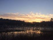 Letni bieg na Olszaku