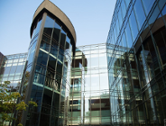 Letnia szkoła prawa, po angielsku