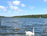 Lubię wracać tam, gdzie byłem...