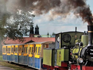 Maltanką do zoo. Od 45 lat!