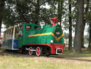 Maltanka na miejskich gruntach