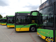 Miasto szykuje się na elektryczne autobusy