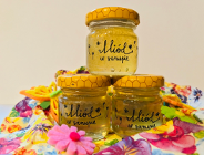 Miód z miejskiej pasieki