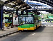 MPK szuka kierowców