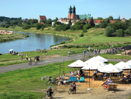 Nad rzekę, w cień drzew