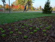 Naramowice mają nowy park