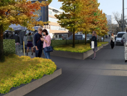 Nasadzą zieleń przy ul. Ściegiennego