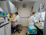 Nauka przeciwna wyborom w czasie epidemii