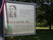 Nenia - konspiratorka na wózku