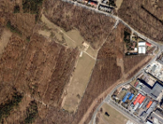 Nie zanieczyszczać lasu światłem