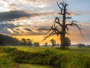 Niedospanie - spotkania wokół Warty