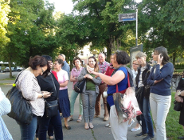 Niedziela na Wildzie