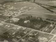 Nominacja dla "Abisynii"!