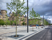 Nośniki treści kulturalnych