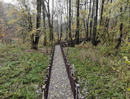 Nowe ścieżki w leśnictwie Antoninek