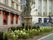 Nowe skwery upiększają centrum