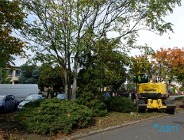 Nowy skwer na Ławicy