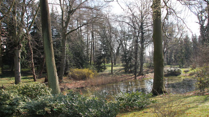 Fot. Ogród Dendrologiczny Uniwersytetu Przyrodniczego w Poznaniu