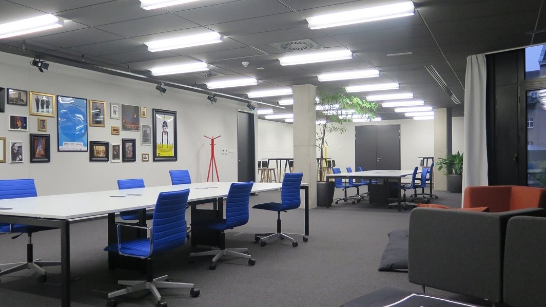 Fot. Danuta Bartkowiak