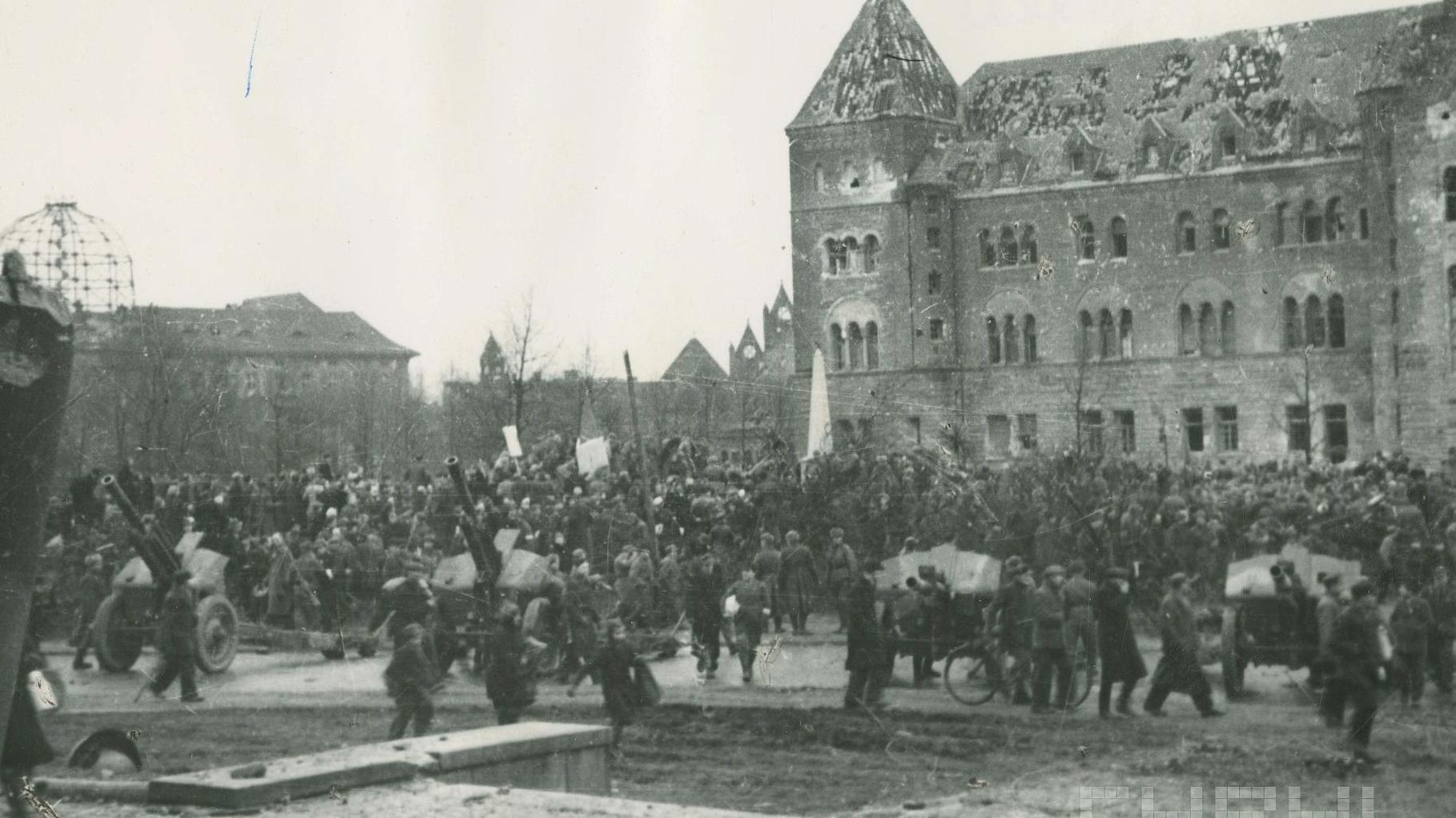 Fot. Z. Zielonacki/cyryl.poznan.pl - grafika artykułu