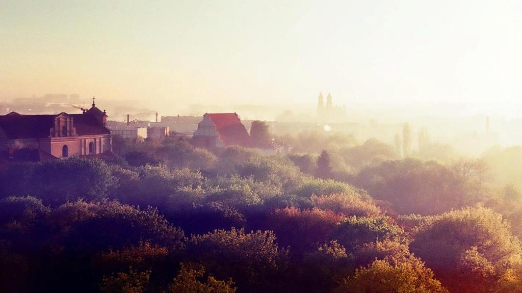 Fot. Urząd Miasta Poznania - grafika artykułu