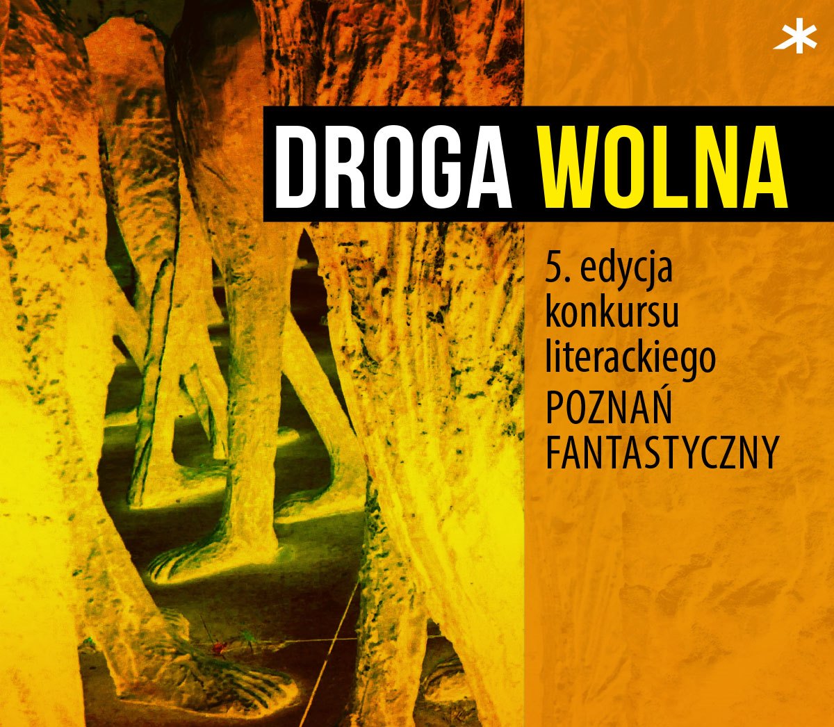 Fot. materiały organizatorów - grafika artykułu