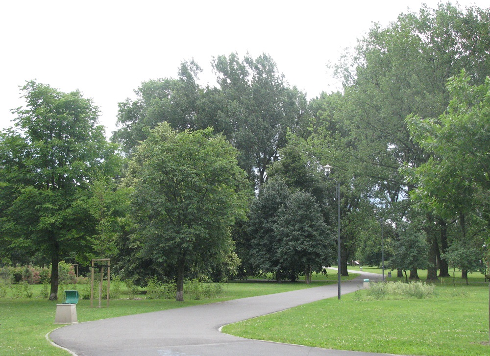 Park Jana Pawła II na Osiedlu Wilda, fot. Mateusz Malinowski - grafika artykułu
