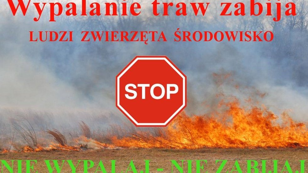 Fot. materiały Straży Pożarnej