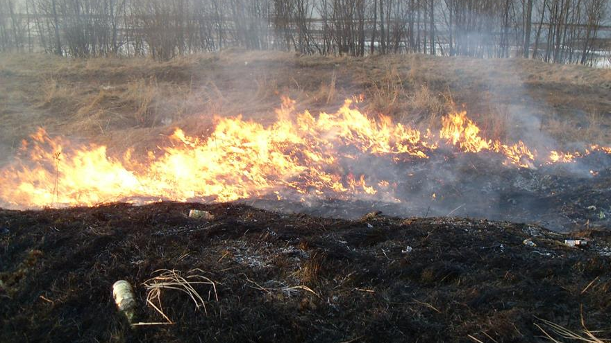 fot. Wikipedia/Georg Pik