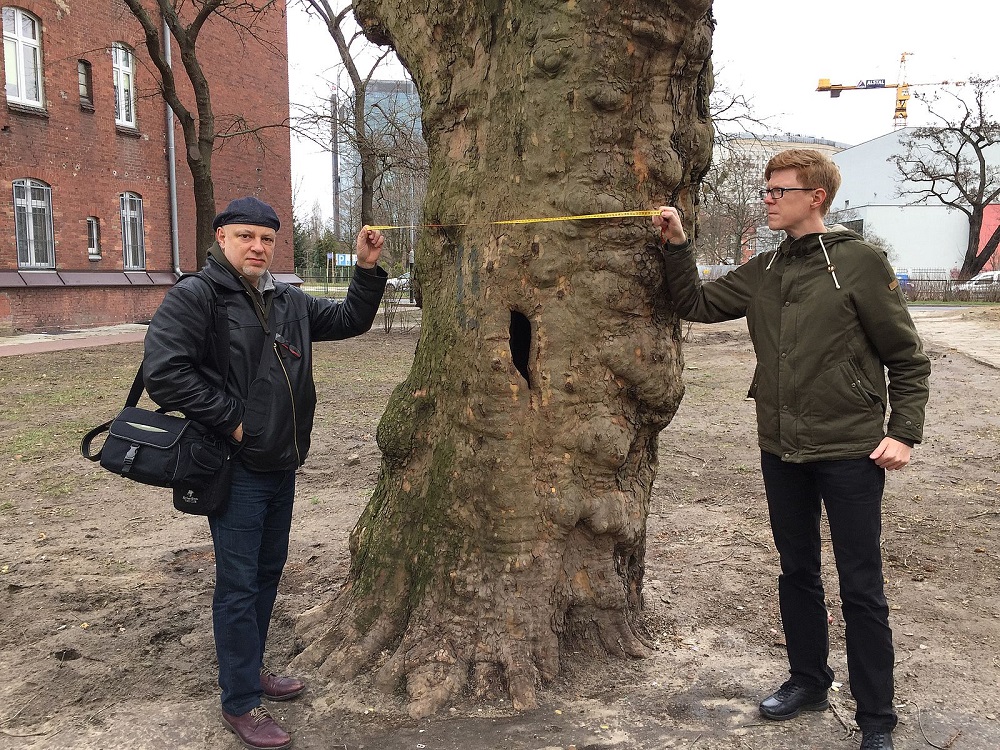 Fot. Rada Osiedla Stare Miasto - grafika artykułu