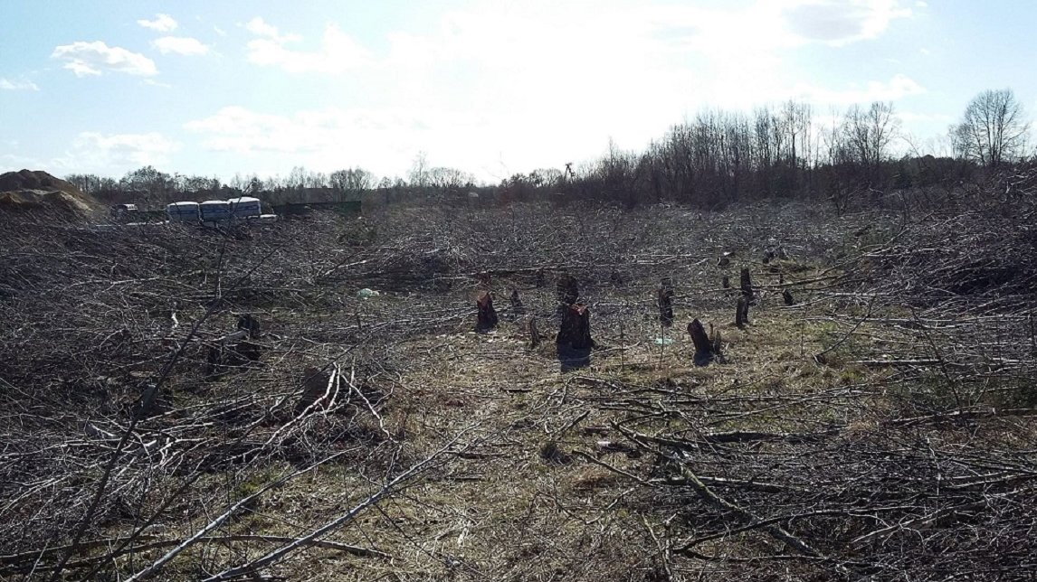 Fot. Rada Osiedla Umultowo